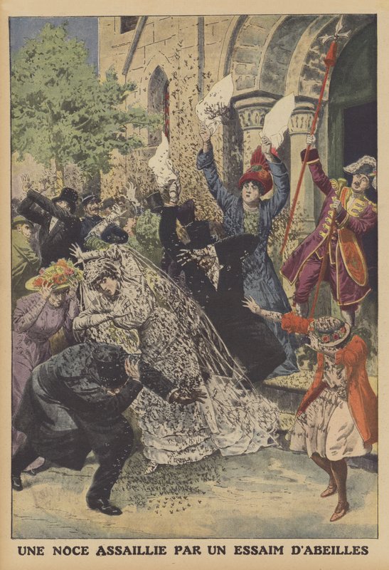 Et bryllup angrebet af en bisværm (farve litho) af French School