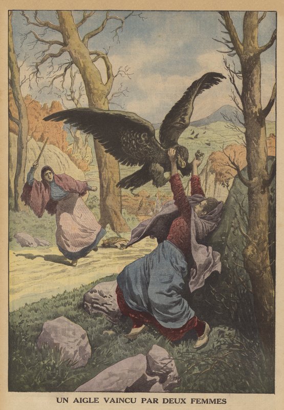 En ørn besejret af to kvinder (farve litho) af French School