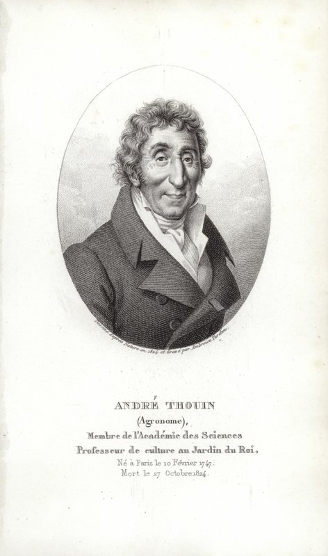 André Thouin af French School