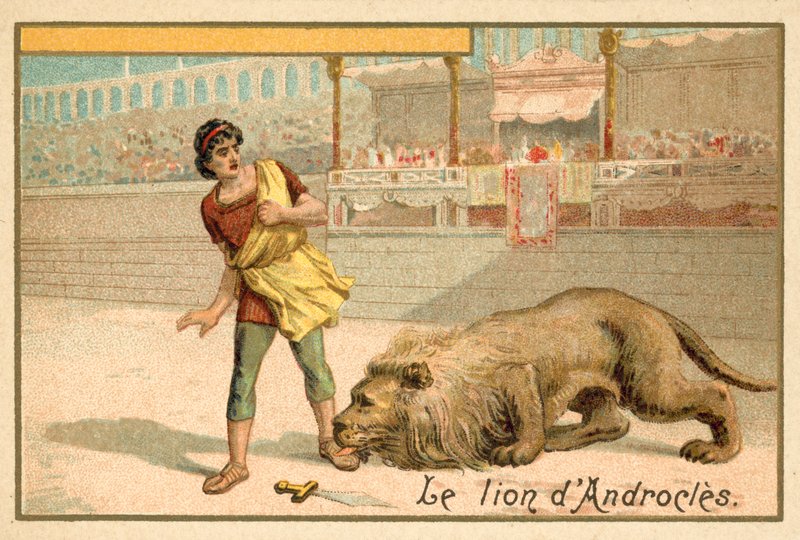 Androcles og Løven af French School