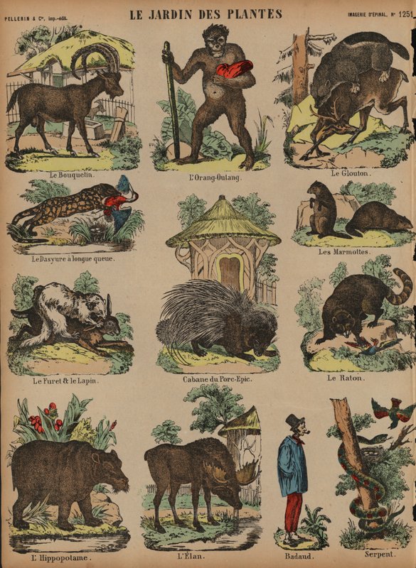 Dyr på Jardin des Plantes, Paris, Frankrig (farvet gravering) af French School