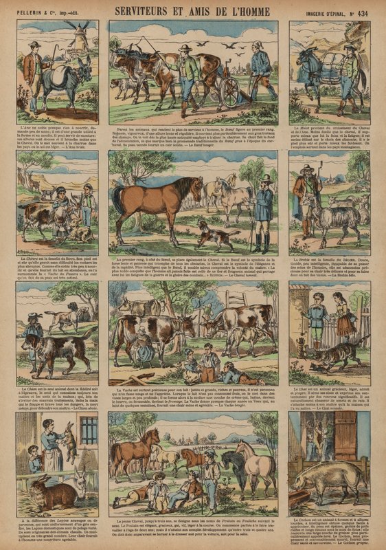 Dyr til gavn for mennesket (farvet gravering) af French School