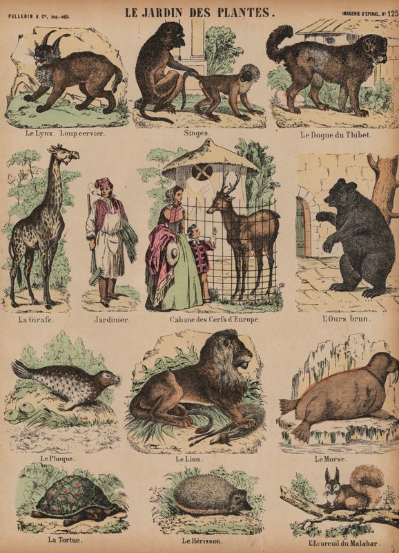 Animals of the Jardin des Plantes, Paris, Francedani af French School