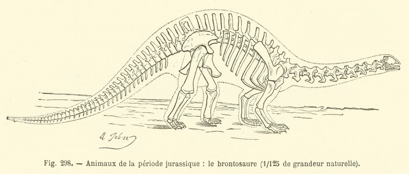 Dyr fra juraperioden, Brontosaurus (gravering) af French School