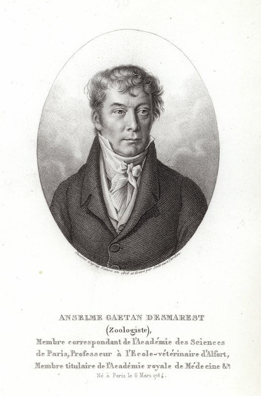 Anselme Gaetan Desmarest af French School