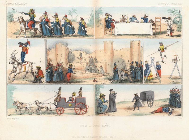 Antropomorfe hunde og aber (farvet indgravering) af French School