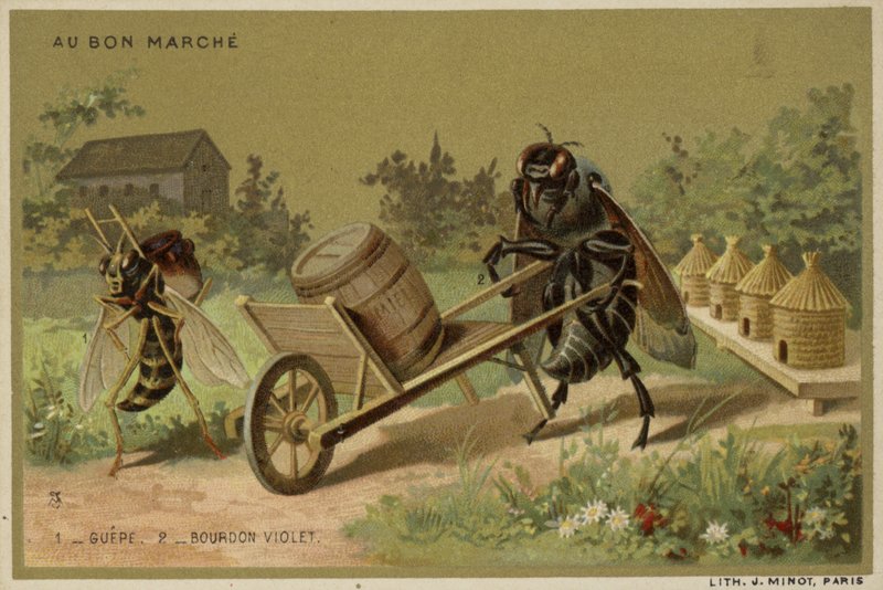Au Bon Marche-kort med antropomorfe insekter af French School