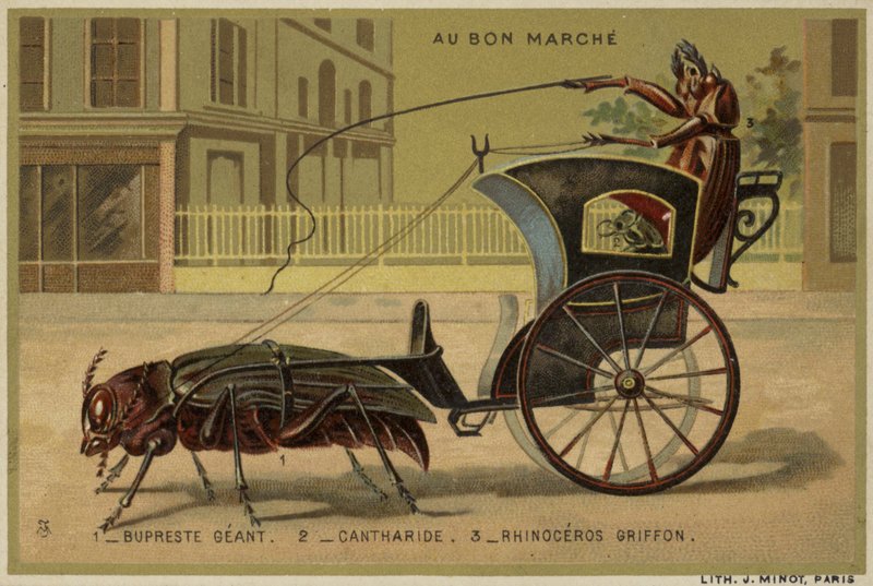 Au Bon Marche-kort med antropomorfe insekter af French School