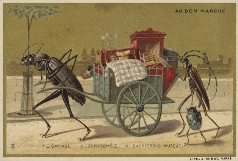 Au Bon Marche-kort med antropomorfe insekter af French School