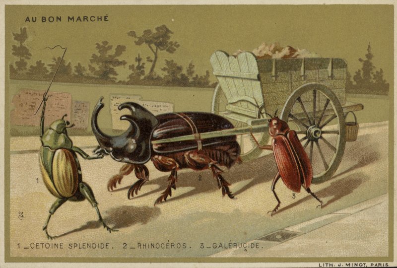 Au Bon Marche-kort med antropomorfe insekter af French School