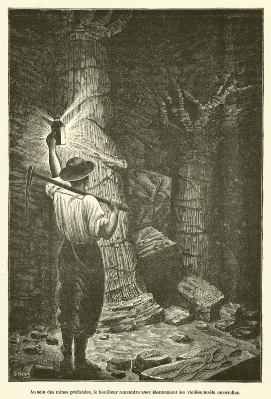Inden for de dybe miner møder kulminearbejderen med forbløffelse de gamle begravede skove (gravering) af French School