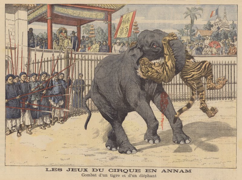 Kamp mellem en elefant og en tiger i et cirkus i Annam, Indokina (farvelitografi) af French School