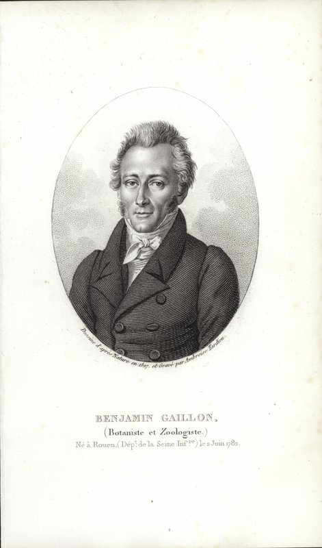 Benjamin Gaillon af French School
