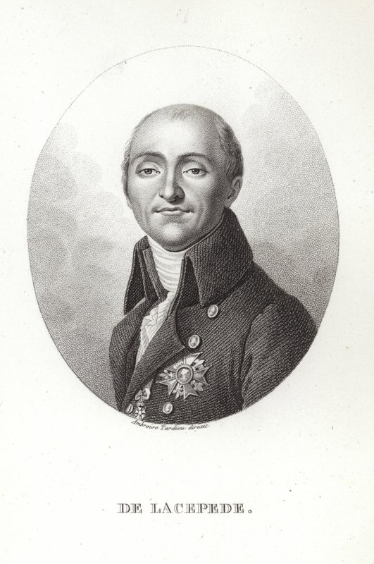 Bernard Germain de Lacepede af French School