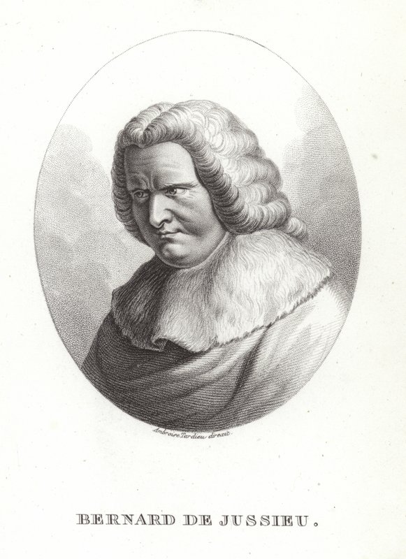 Bernard af Jussieu af French School