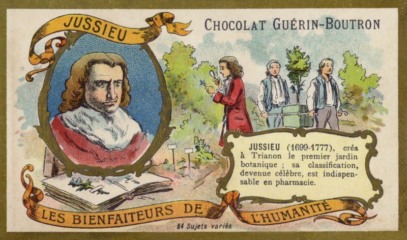 Bernard de Jussieu, fransk naturforsker (chromolitho) af French School
