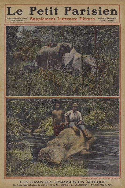 Storvildtjagt i Afrika (farve litho) af French School