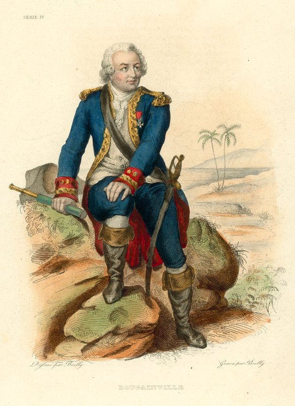 Bougainville (farvet gravering) af French School