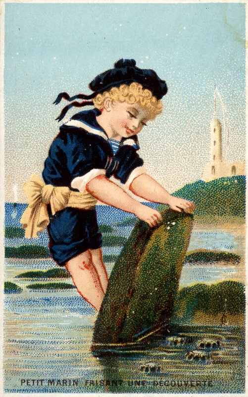 Dreng kigger under sten på stranden af French School