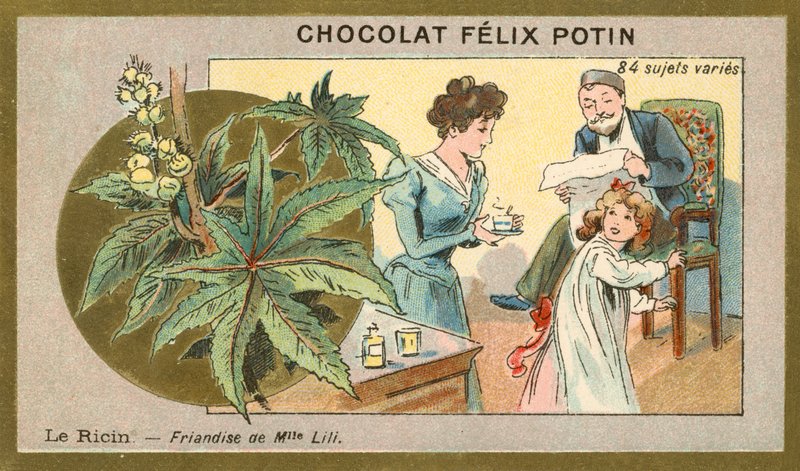 Castor Oil - Delicacy of Miss Lili (Chromolitho) af French School