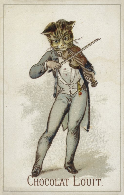 Kat spiller violin af French School