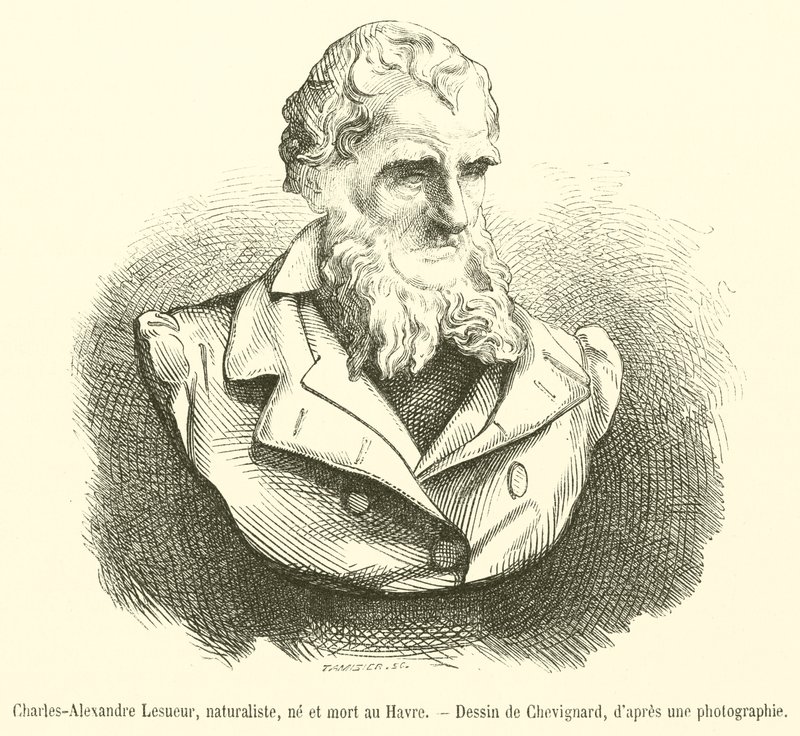 Charles-Alexandre Lesueur, naturforsker, født og død i Le Havre (gravering) af French School