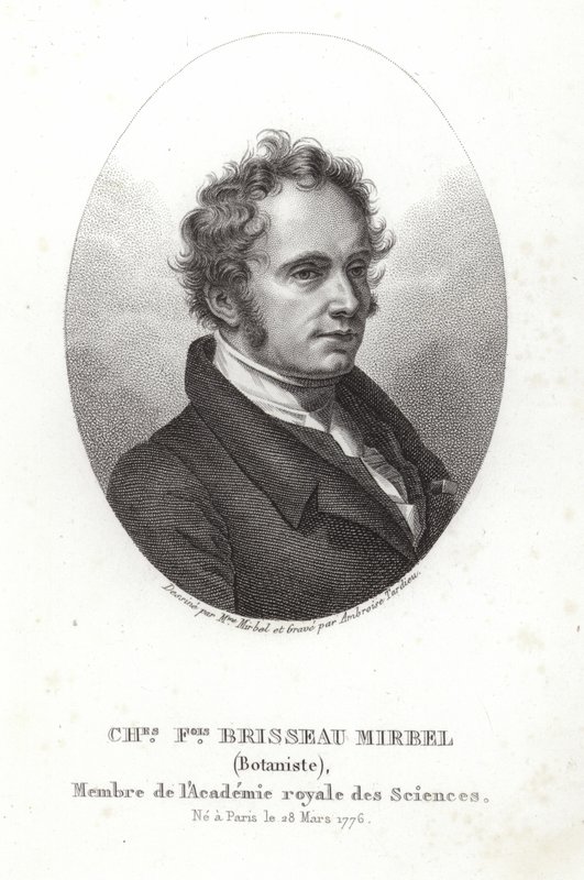 Charles-Francois Brisseau de Mirbel af French School
