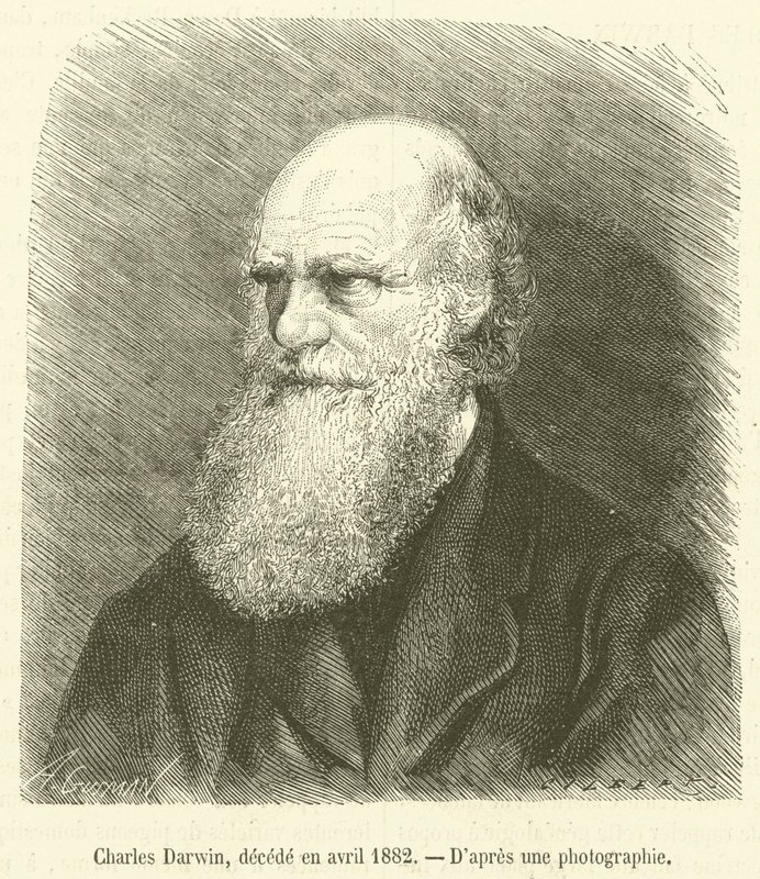 Charles Darwin, decede en april 1882 (gravering) af French School