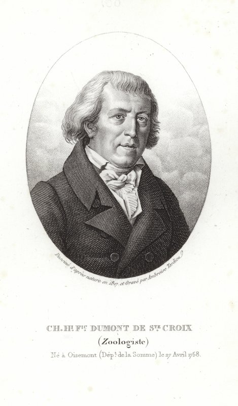 Charles Dumont af Sainte-Croix af French School