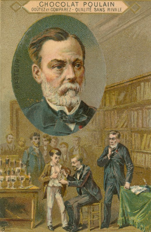 Chokolade Poulain handelskort, Louis Pasteur af French School