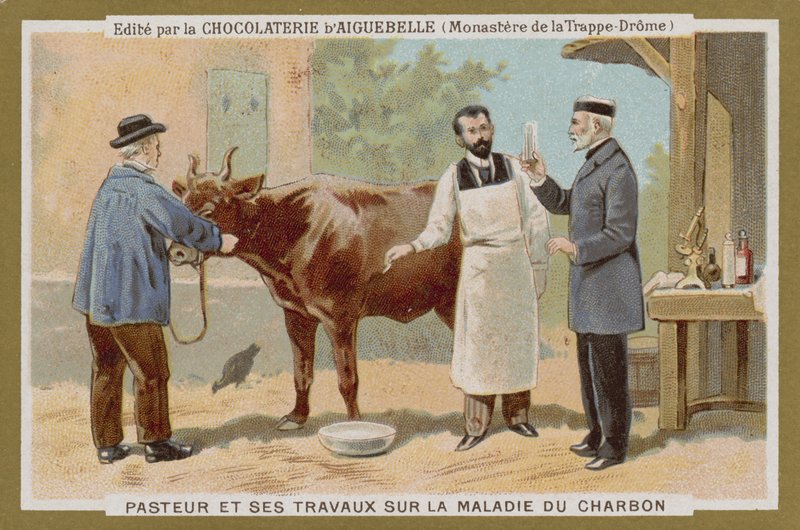 Chocolat dAiguebelle handelskort af French School