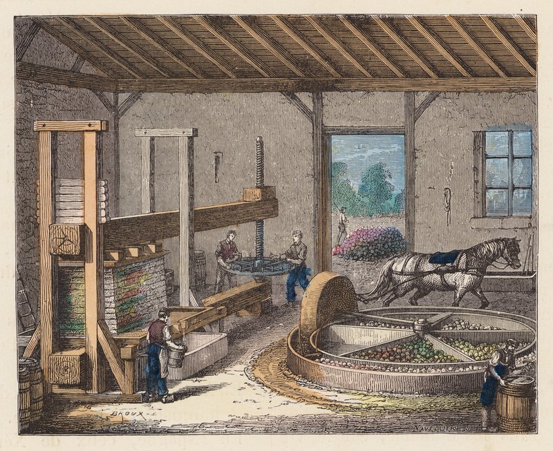 Ciderfremstilling (farvet gravering) af French School