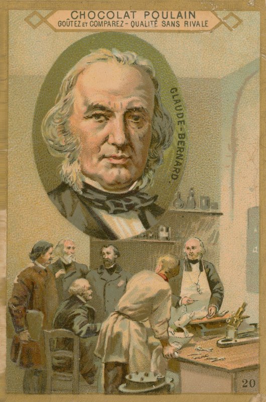 Claude Bernard, Chocolat Poulain handelskort af French School