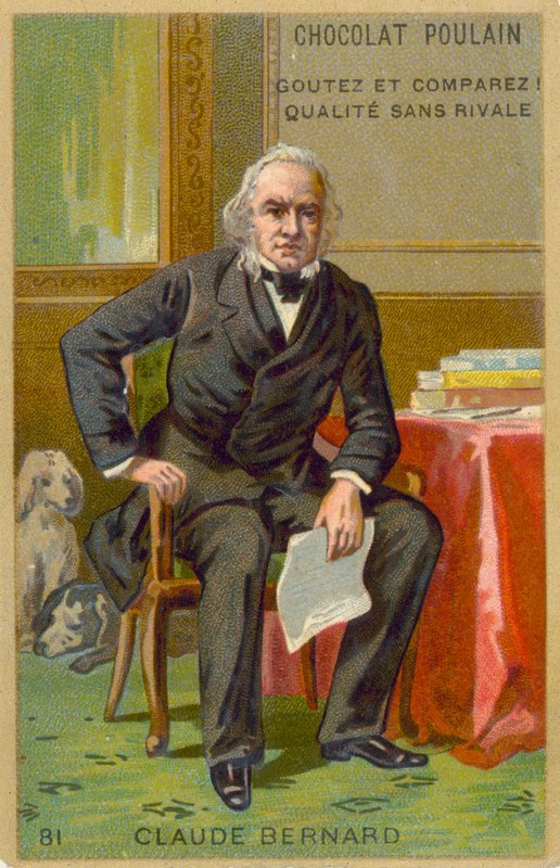 Claude Bernard, fransk fysiolog af French School