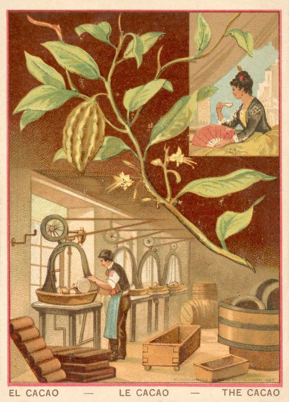 Kakao (chromolitho) af French School