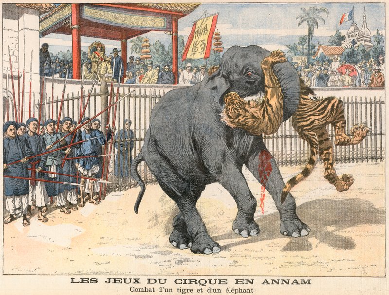 Kamp mellem en tiger og en elefant af French School