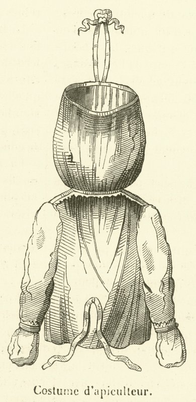 Biavlerkostume (gravering) af French School