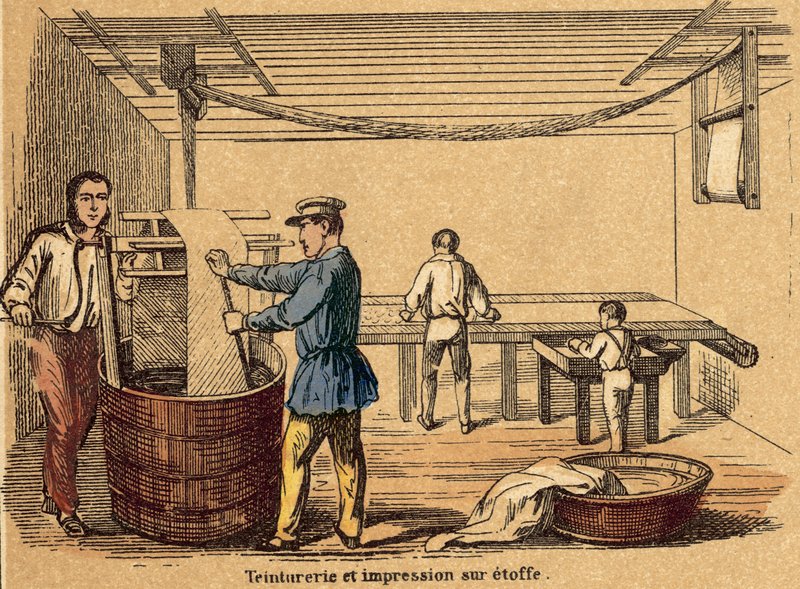 Bomuld (farvet gravering) af French School