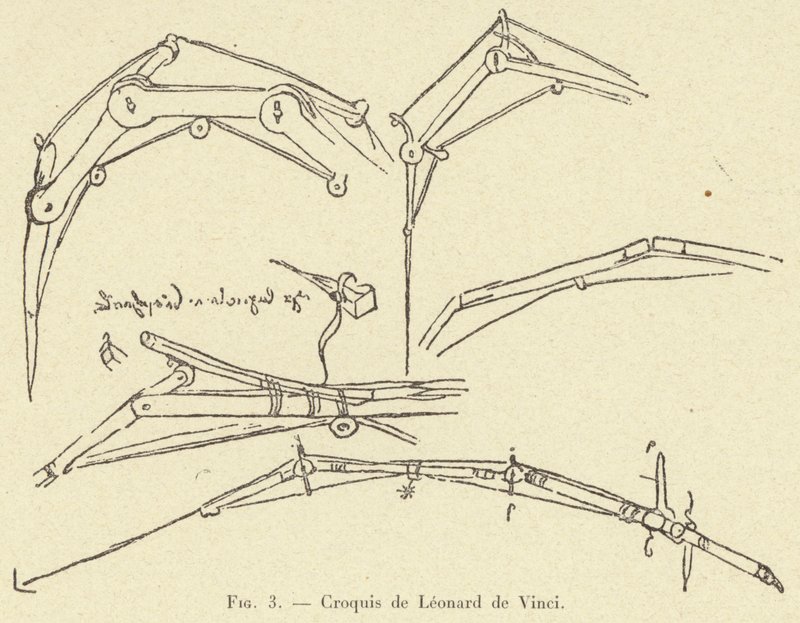 skitse af Leonardo da Vinci af French School