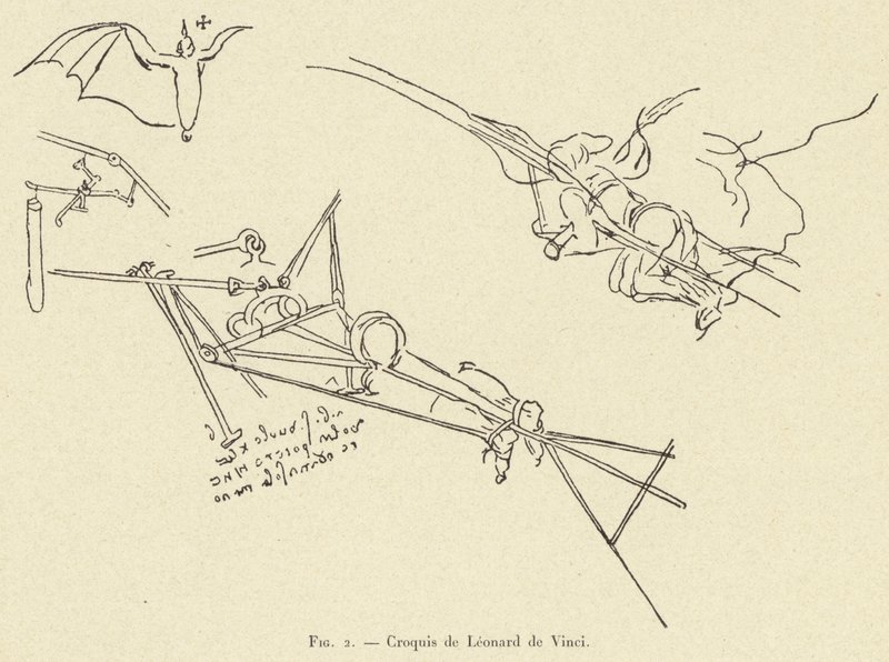 skitse af Leonardo da Vinci af French School