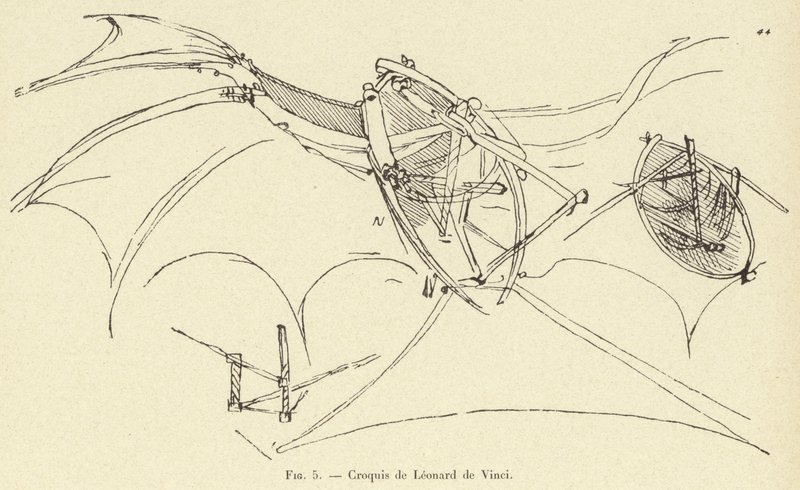 skitse af Leonardo da Vinci af French School