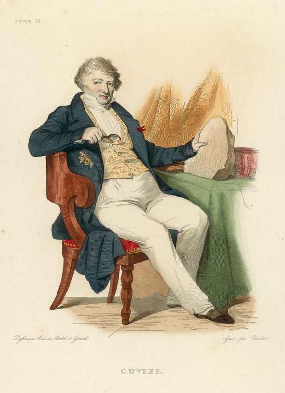 Cuvier (farvet gravering) af French School