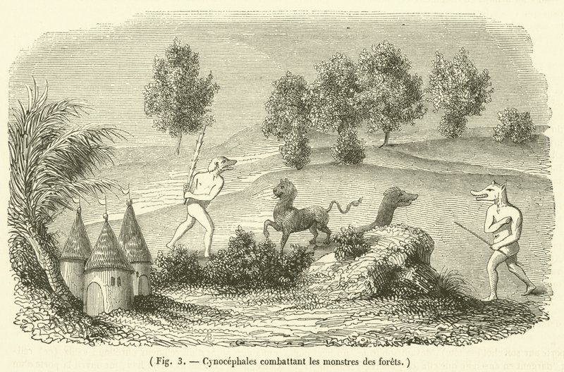 Cynocephales kæmper mod skovmonstre (gravering) af French School