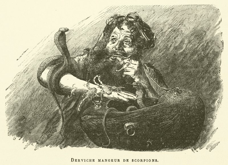 Dervish Eater Of Scorpions (gravering) af French School