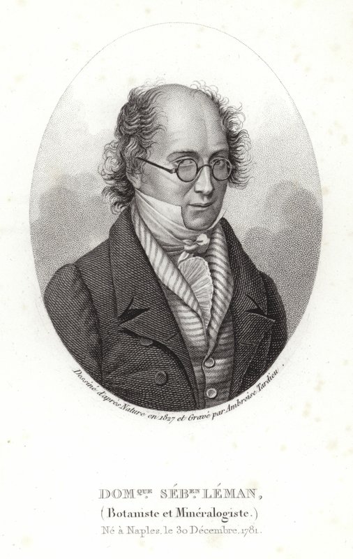 Dominique Sebastion Leman af French School