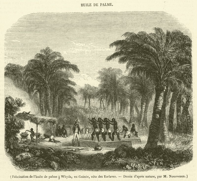 Fremstilling af palmeolie i Whyda, Guinea, Slave Coast (gravering) af French School
