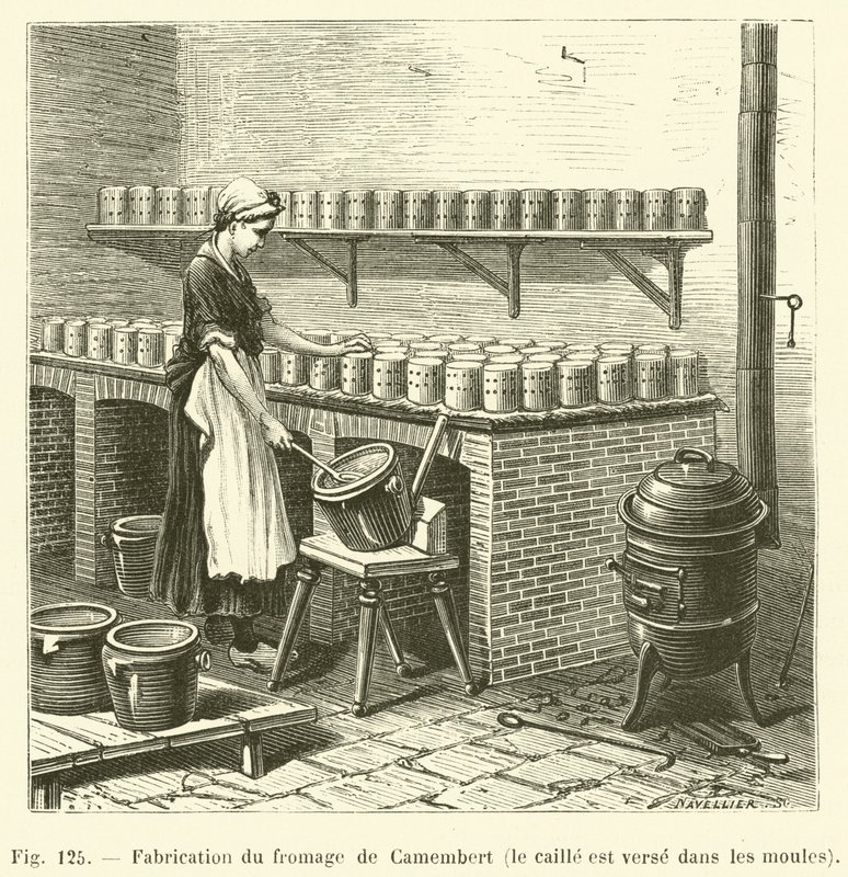 Produktion af camembert ost, vagtlen hældes i formene (gravering) af French School