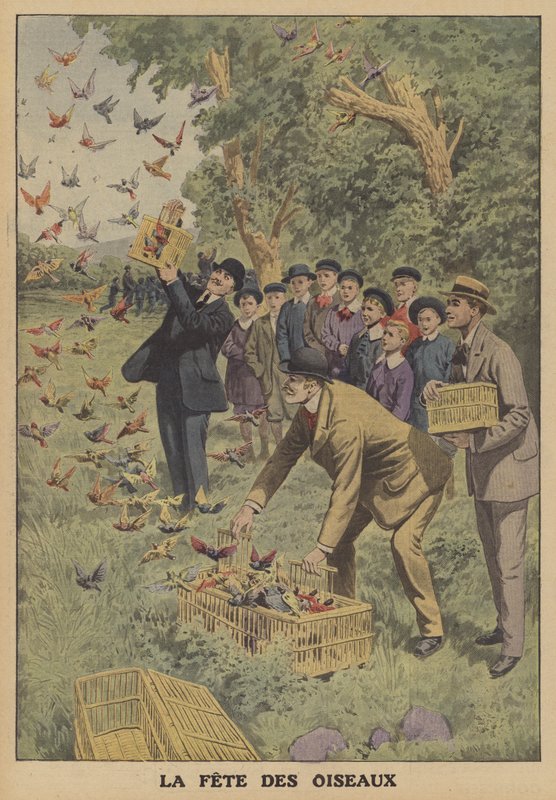 Fuglefestival i Belgien (farve litho) af French School