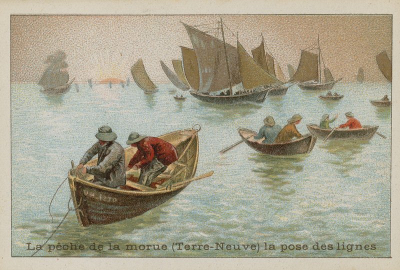 Fiskeri af torsk i Newfoundland - lægning af liner af French School