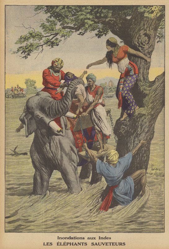Oversvømmelser i Indien (farve litho) af French School
